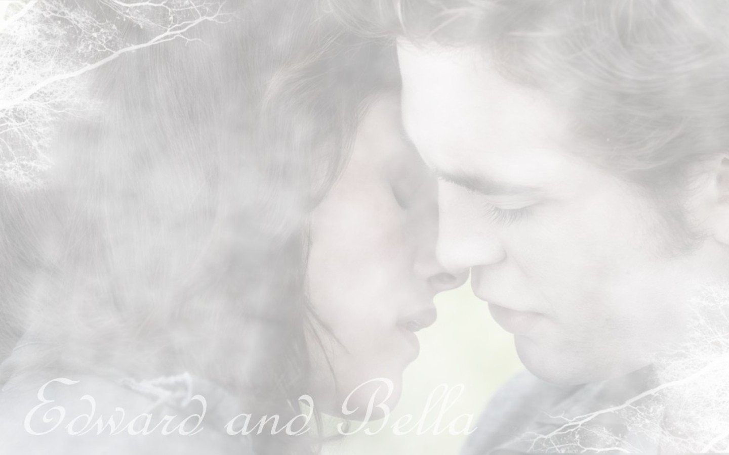 Twilight-Wallpaper_15 -  