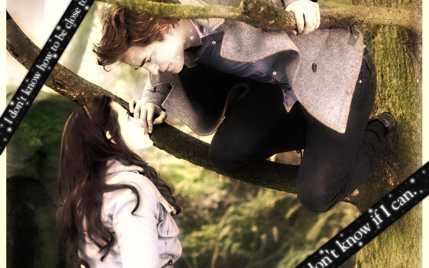Twilight-Wallpaper_40 -  
