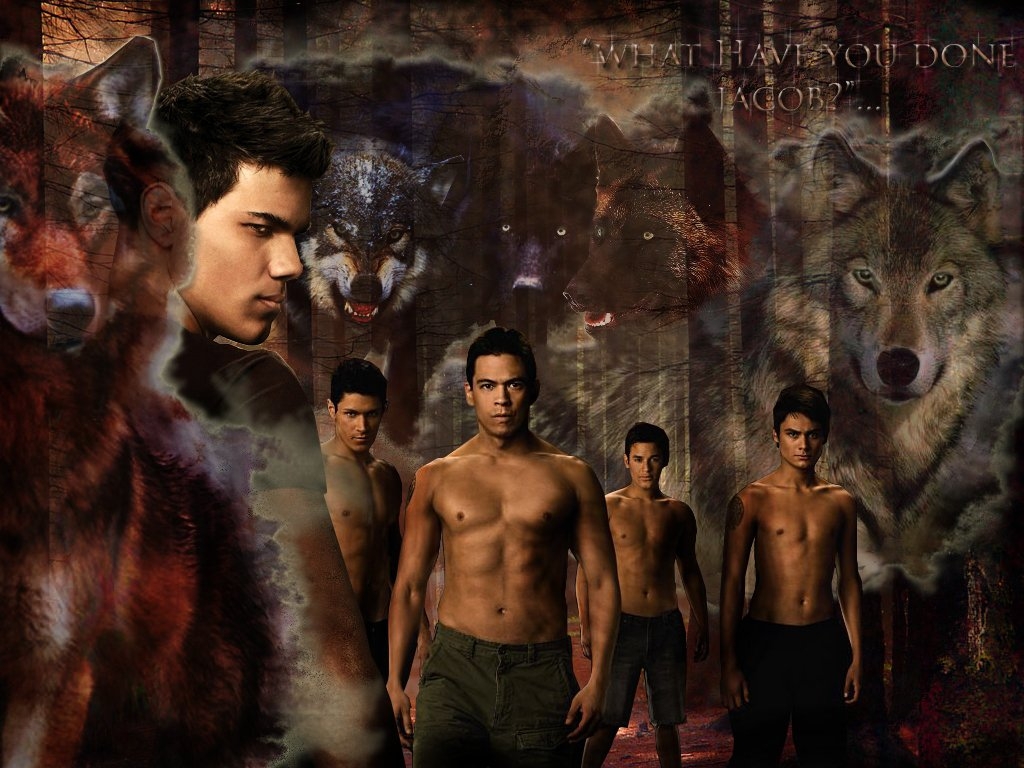 New-Moon-twilight-series-7374727-1024-768 -  