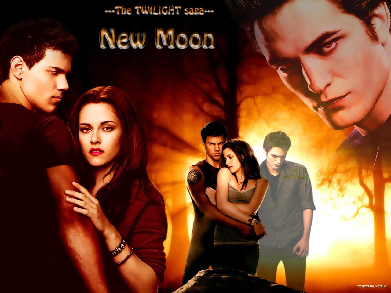 New-Moon-twilight-series-7680199-1280-960 -  