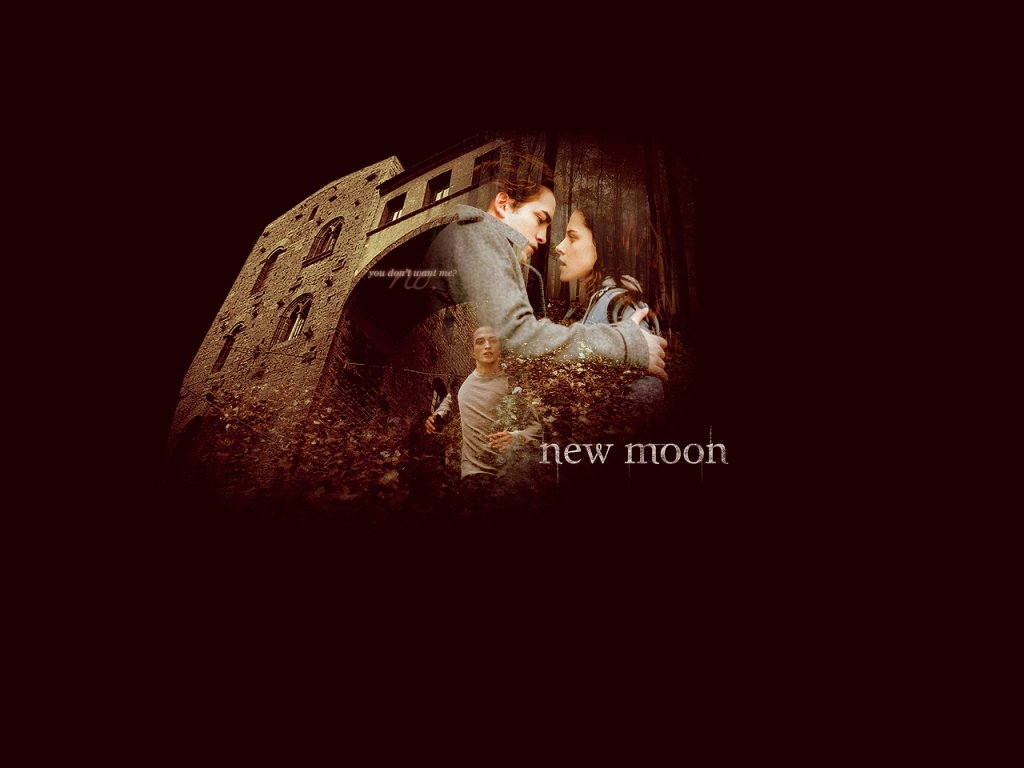 New-Moon-Wallpaper-twilight-series-7001565-1024-768 -  