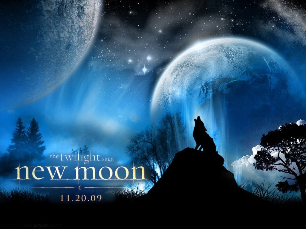 The-Twilight-saga-New-Moon-twilight-series-4882955-1024-768 -  
