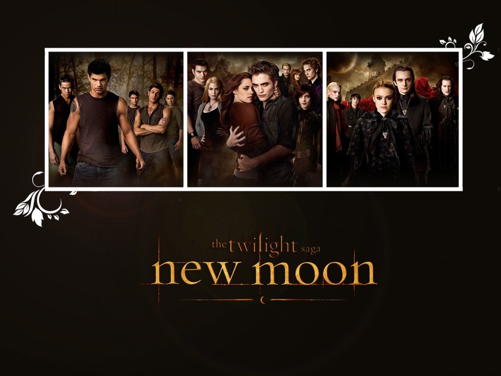 Twilight-Saga-twilight-series-8438700-1024-768 -  