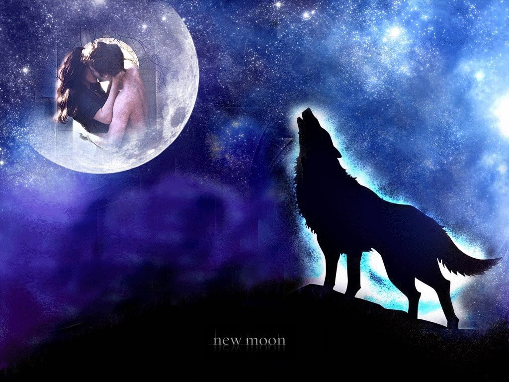 new-moon-twilight-series-8254667-1024-768 -  