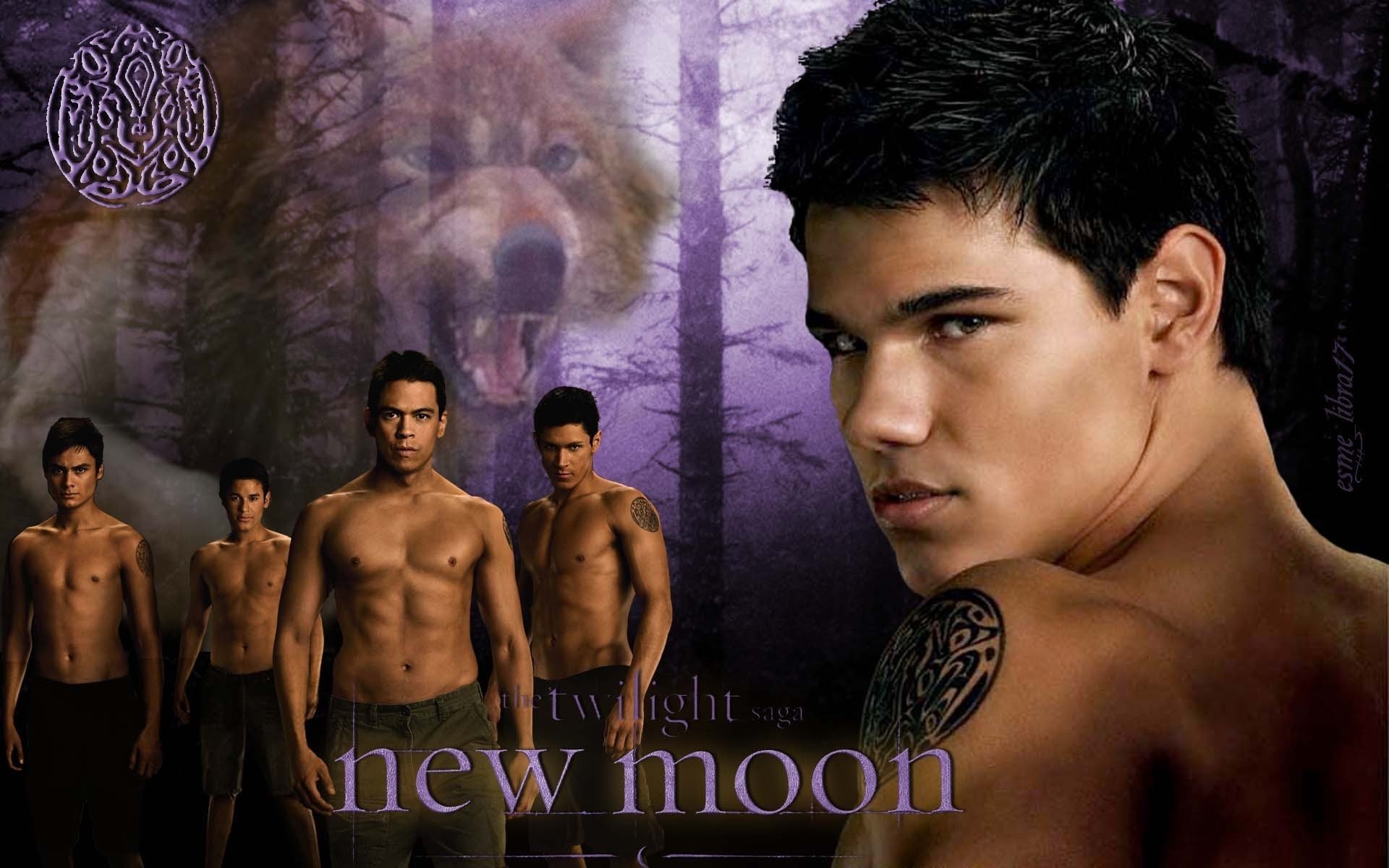 New-Moon-Wallpaper-Werewolves-twilight-series-7428188-1920-1200 -  
